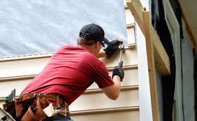 Best Siding for Multi-Family Homes  in Cass City, MI